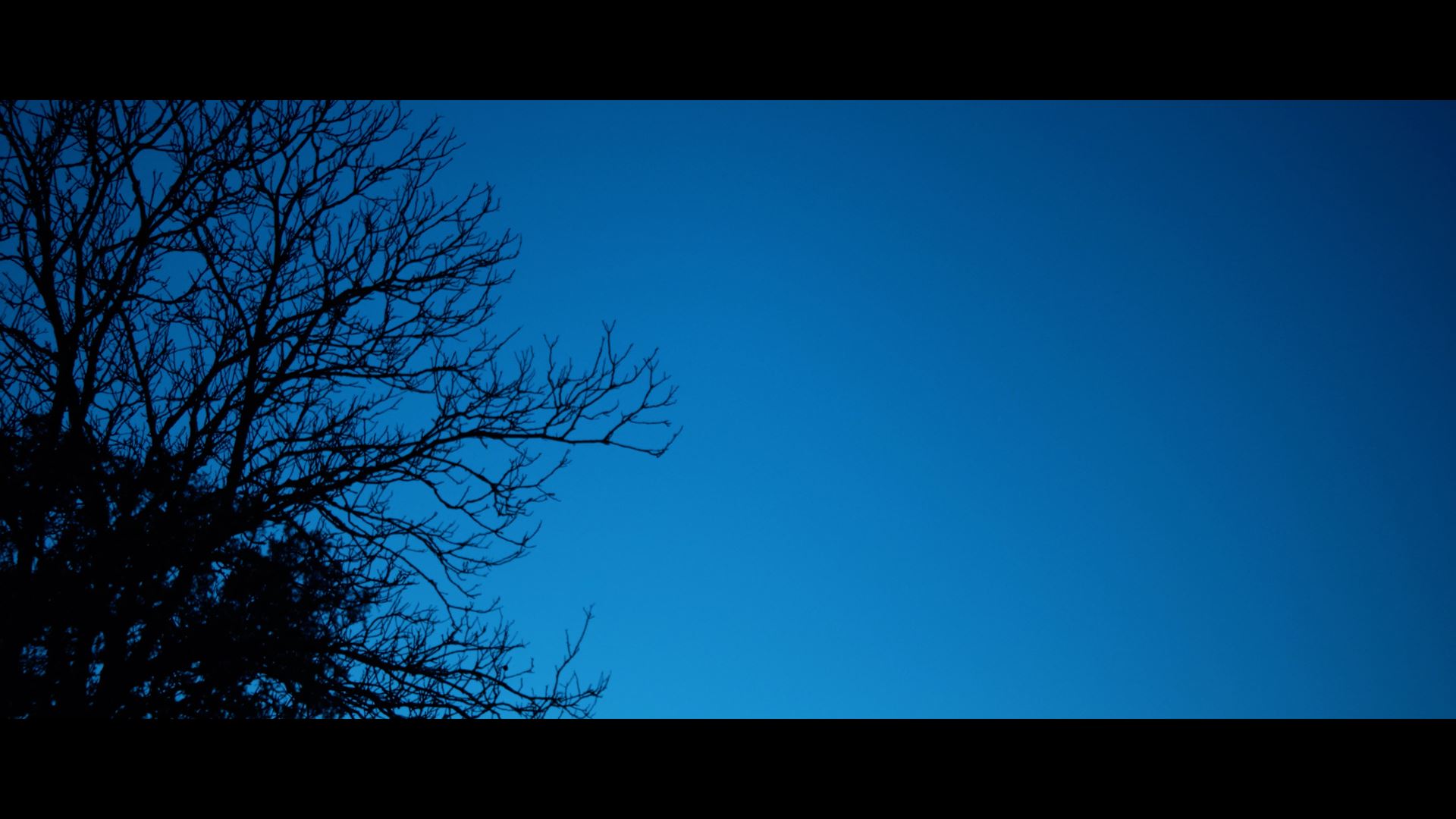 Vidéo de Famille - Blue Ol' Night