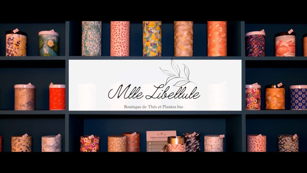 miniatured libellule thé film professionnel au