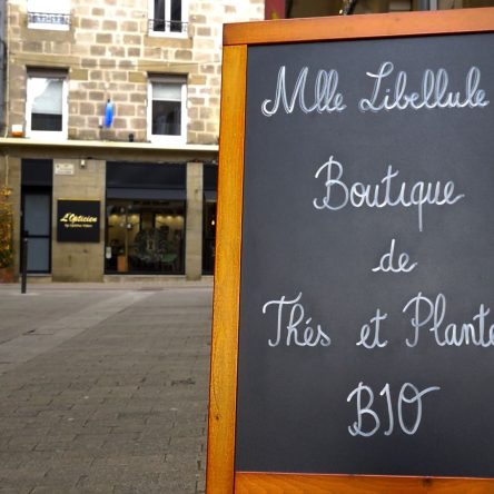 copie 4 libellule thé video professionnel au clap de l