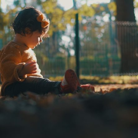 film de famille au clap de la lune hxcxe (2)